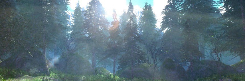 Ciruela_PM's profile banner image