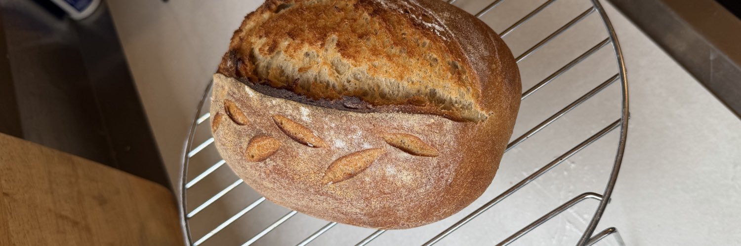 Ian The Curious banner