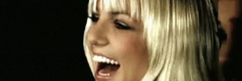 Beardney Spears banner