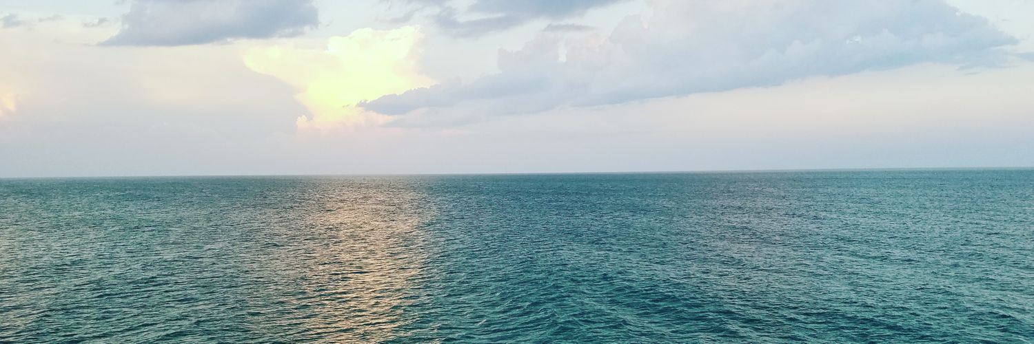 MsQRules's profile banner image