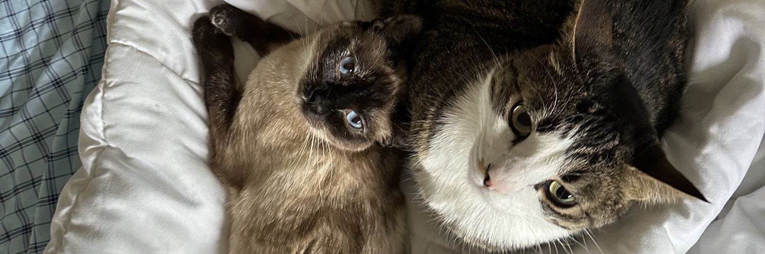 🕴️🕴️🕴️ banner