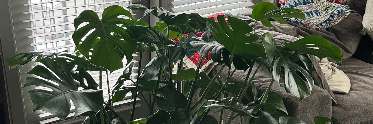 suktitty's profile banner image