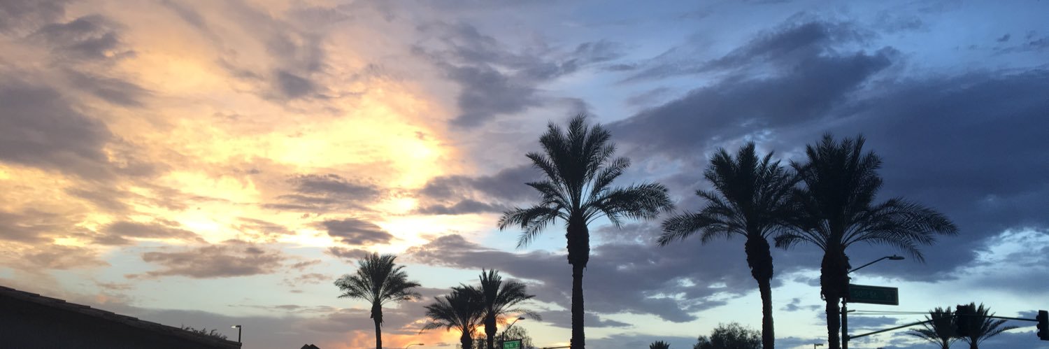 Chavez Batboy banner