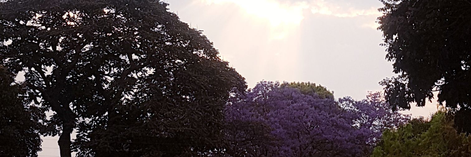 hall_patch's profile banner image