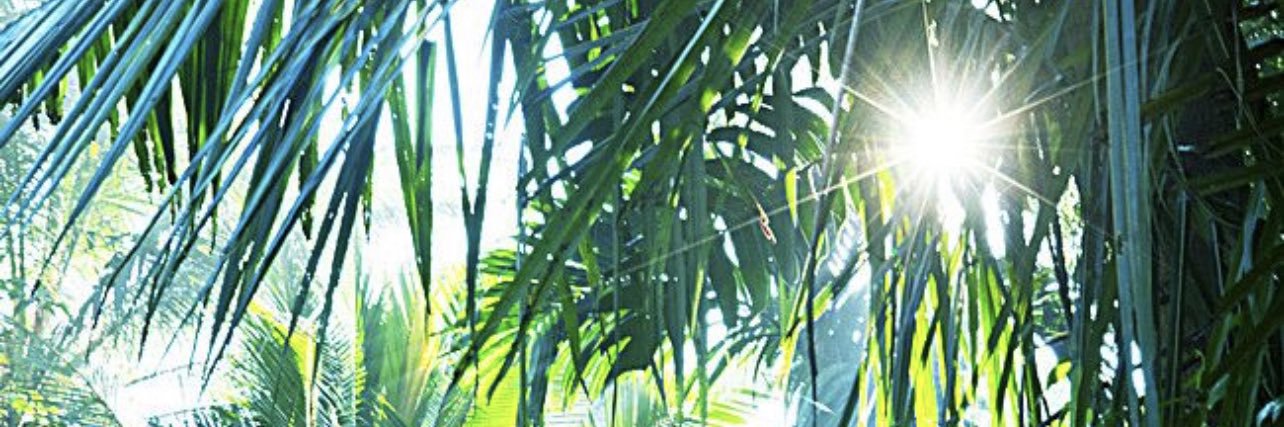NowTheSolution's profile banner image