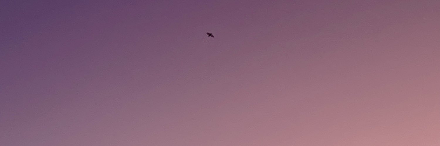 marresets's profile banner image