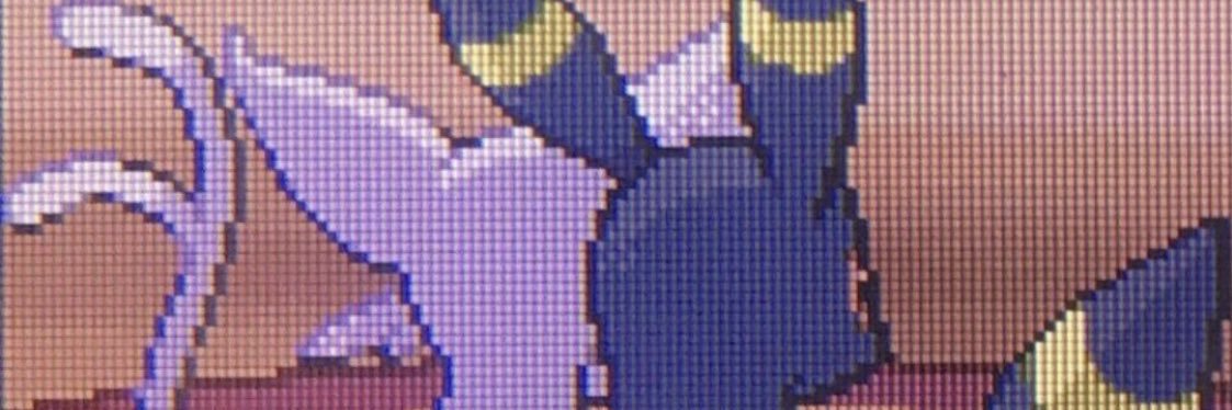 queerpants's profile banner image