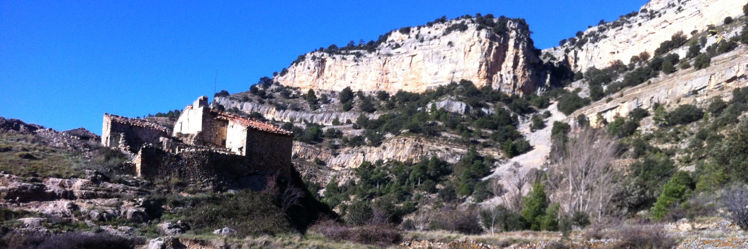Fèlix Edo Tena banner