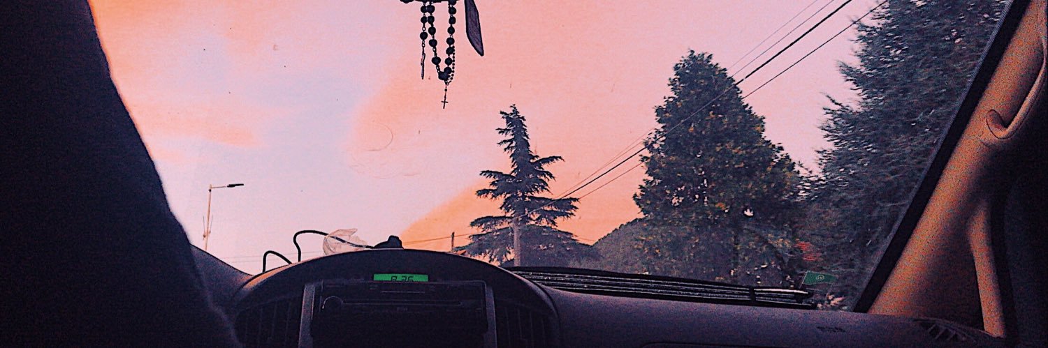sofiasalva16's profile banner image