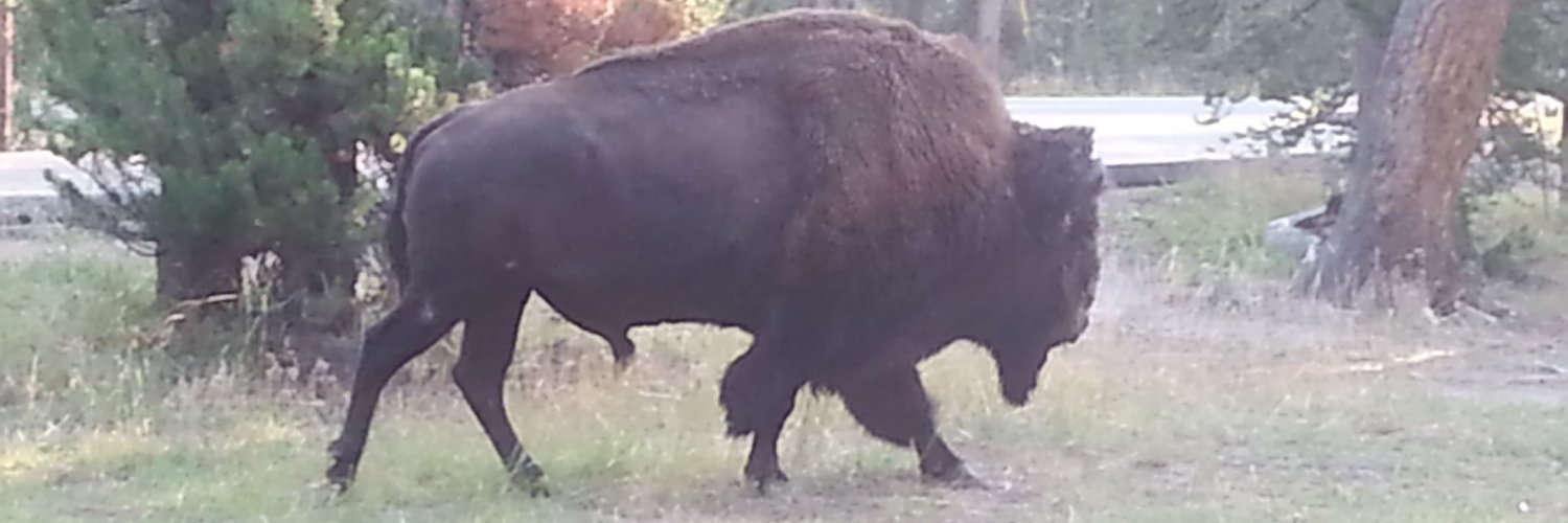 Joe Tritchler banner