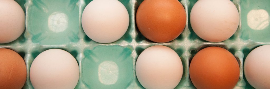 CarlChickens's profile banner image