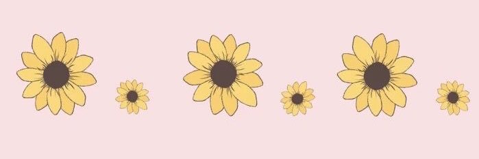 TDiBisceglio's profile banner image