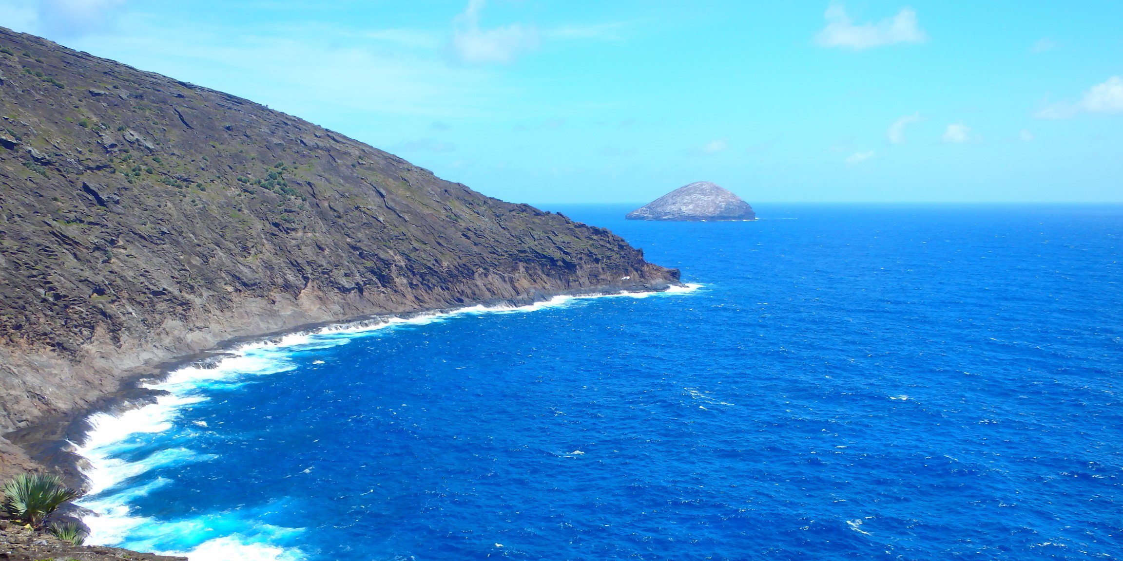 Aurelie Hector banner