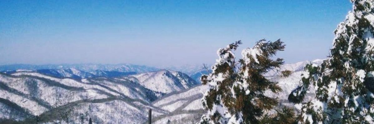 Ampmie85🌻🌾 banner