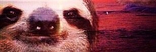 bennycrime's profile banner image