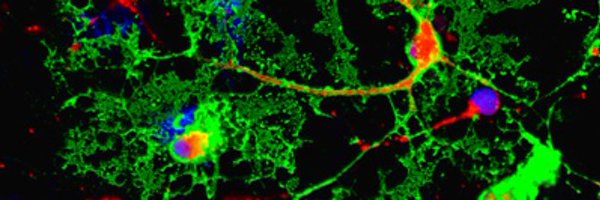 MarkKotter Profile Banner