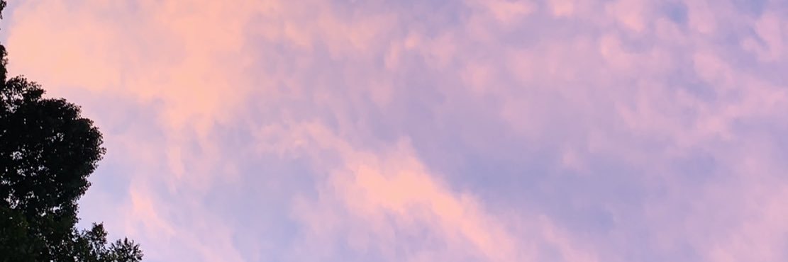 Hailey Heath banner