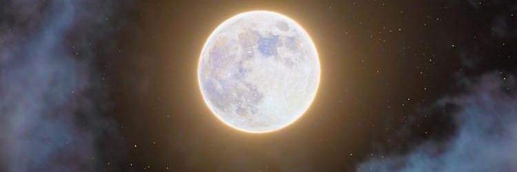 Javiz_41's profile banner image