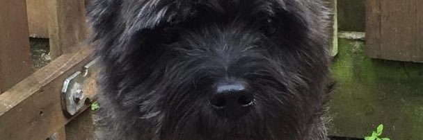 HarryWXveen's profile banner image