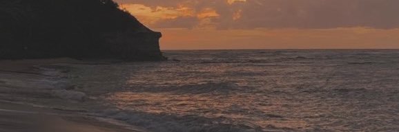 whoanuj_'s profile banner image