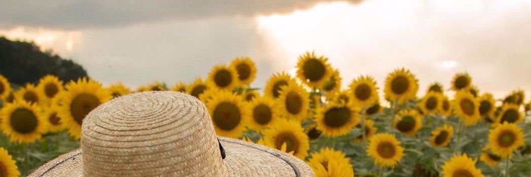 iiii__eb's profile banner image