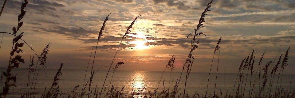 Christie Vtipil banner