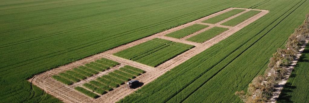 Nigel Routledge banner