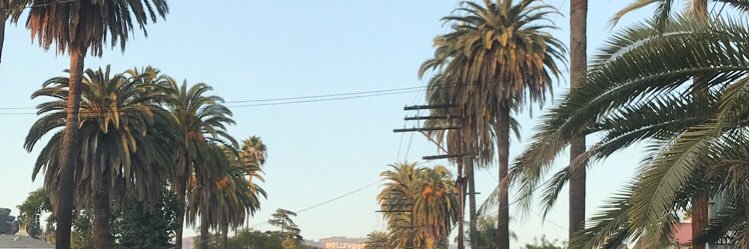 hakeemisboss's profile banner image