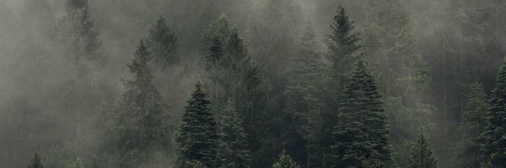 Juliomichael's profile banner image