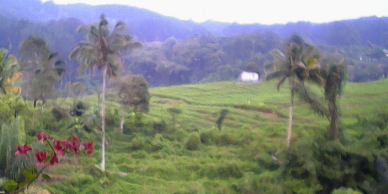 yulianpur's profile banner image