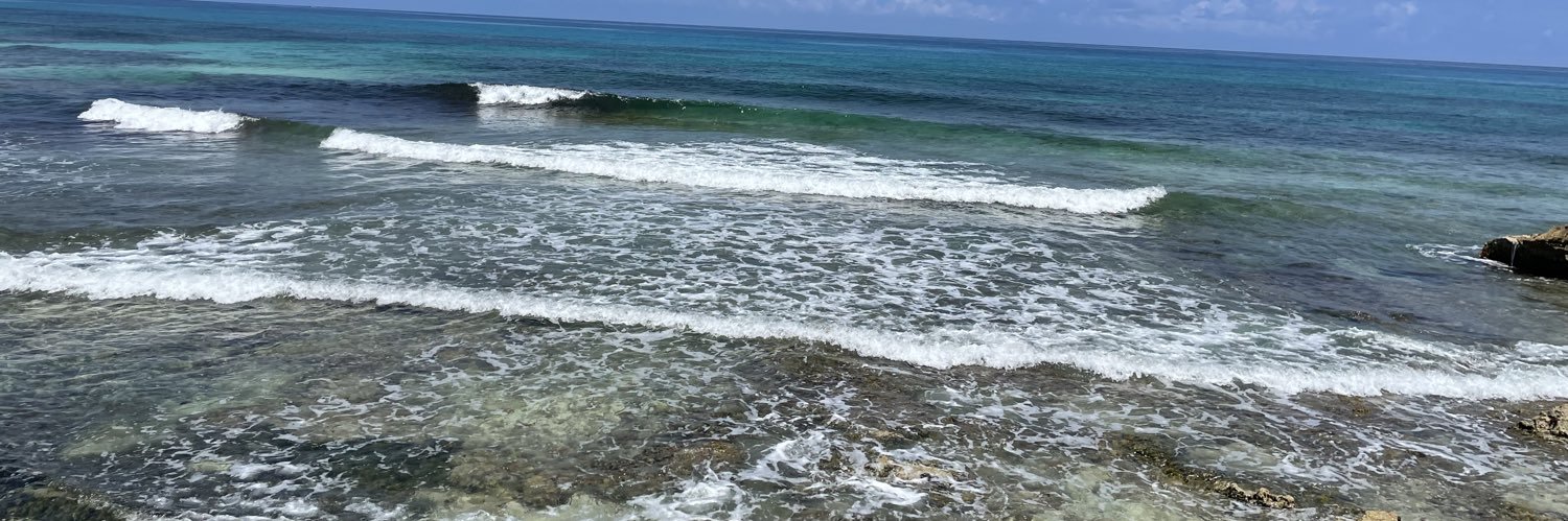nolesa74's profile banner image