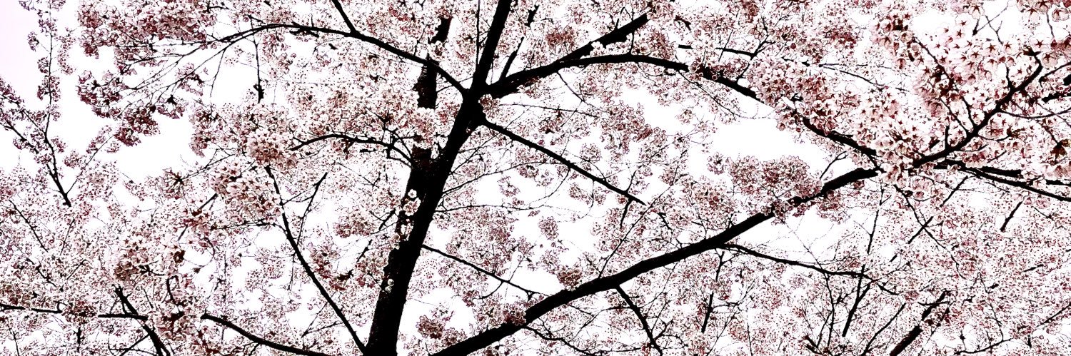 bovzcvb's profile banner image