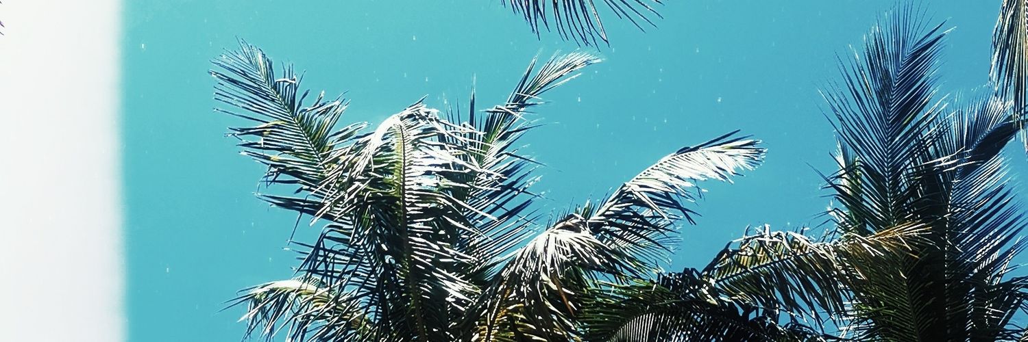 aricamachoc's profile banner image