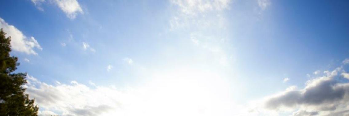 Daniel Lynch banner