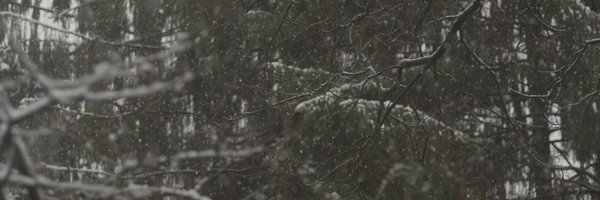 PowellMovement1 Profile Banner