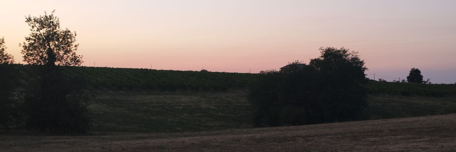 LucaGras's profile banner image