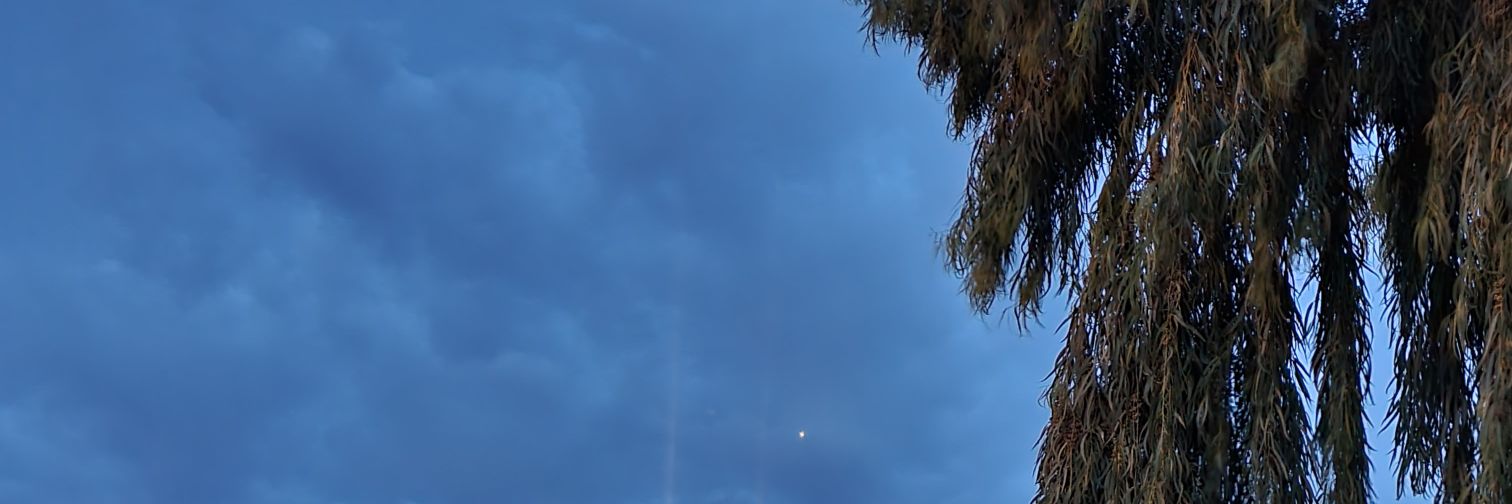 mr_whoopy's profile banner image