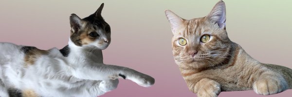 raviopatra Profile Banner