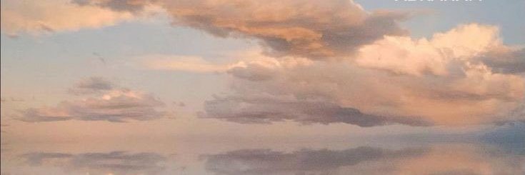 Eremitionskies's profile banner image