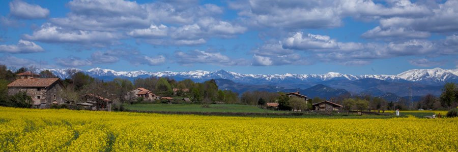 exprural's profile banner image