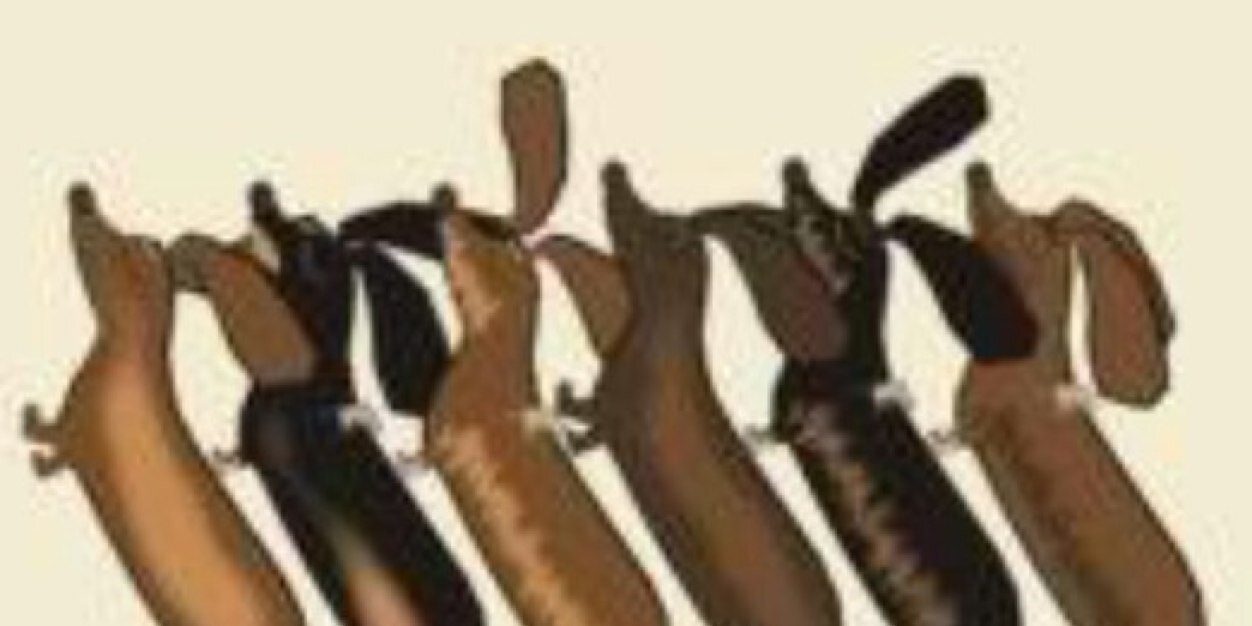 CadburyONeill's profile banner image