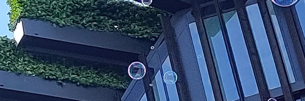 timovt Profile Banner