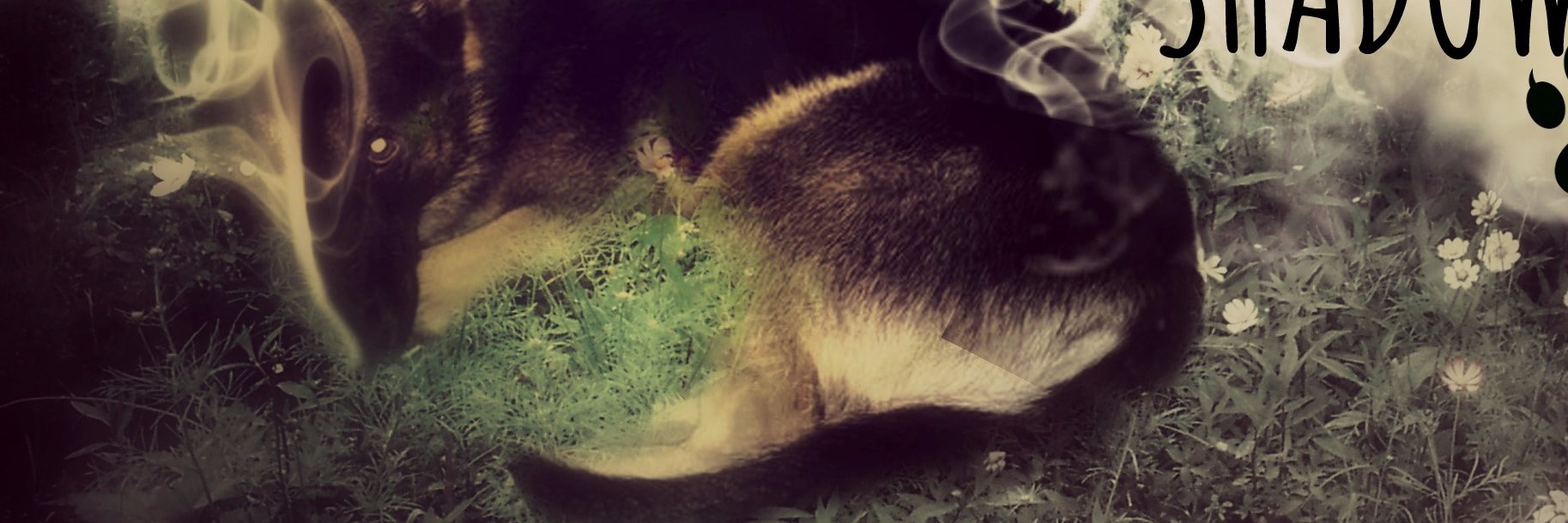 escapeedenpark's profile banner image