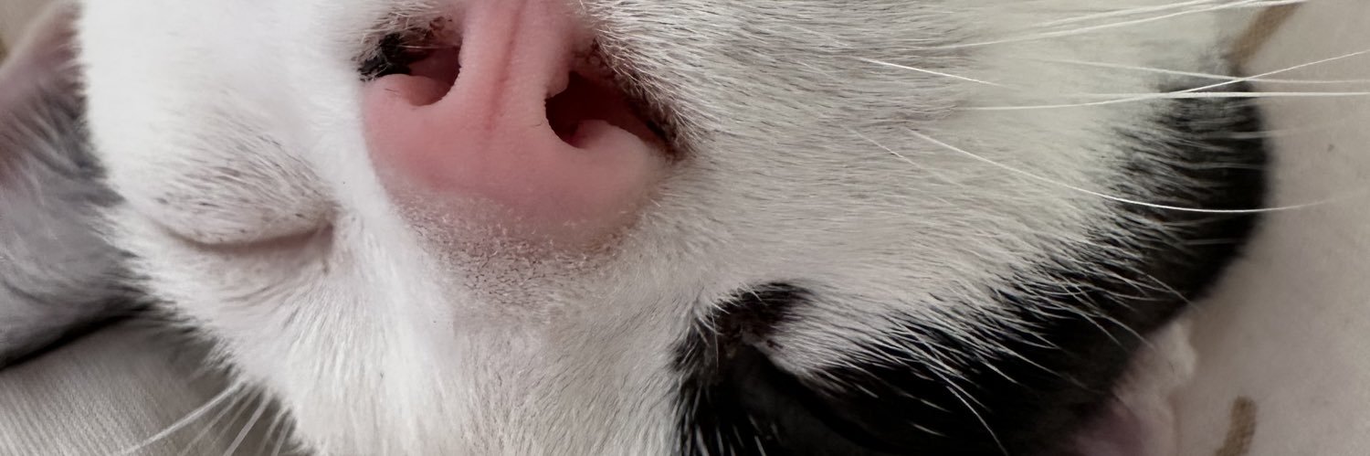 mminkss's profile banner image