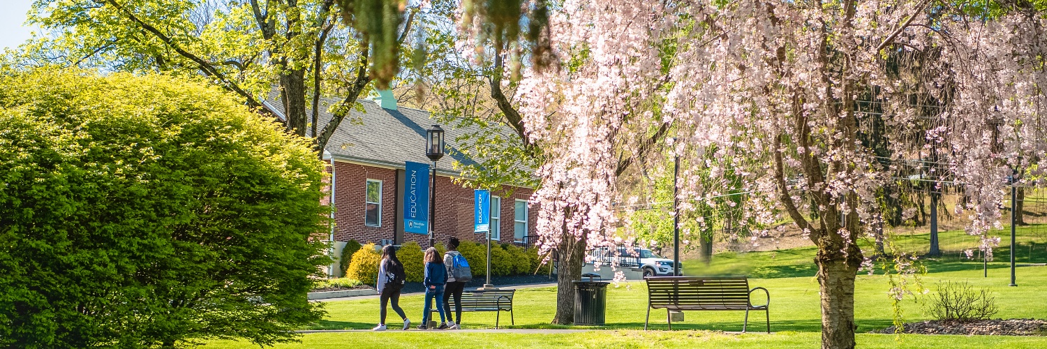 Penn State Schuylkill banner