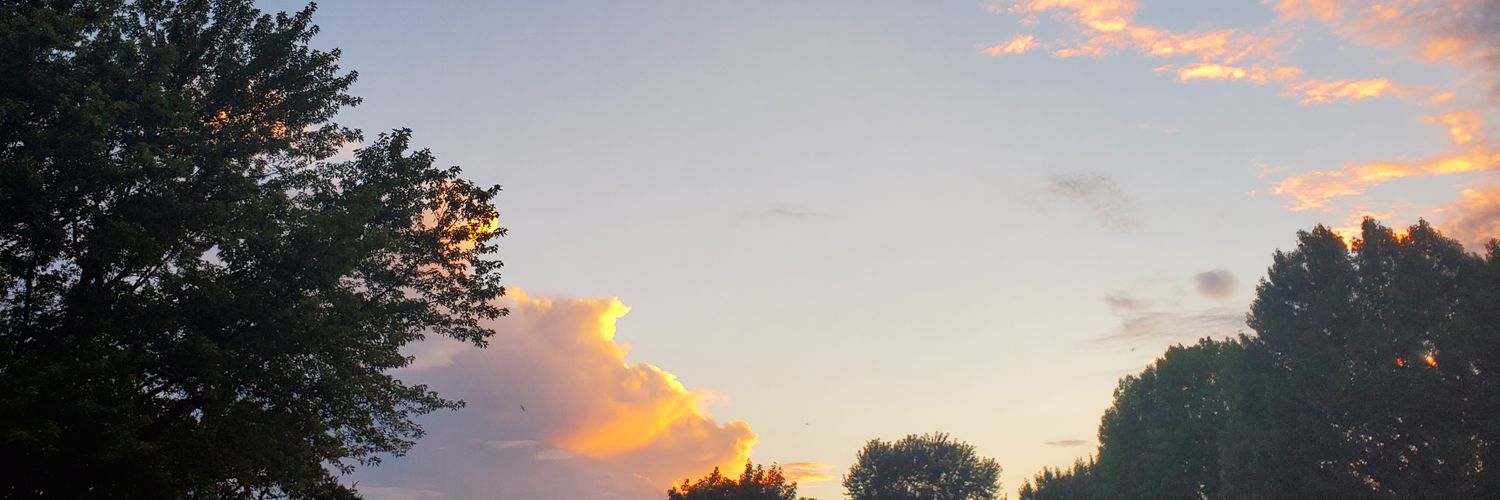 DeeDee Harris banner