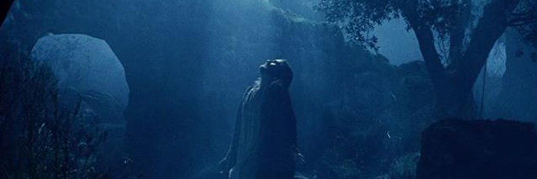 Angélica Maria Soto Igor banner