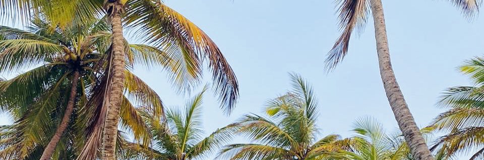 jerrelgordon's profile banner image