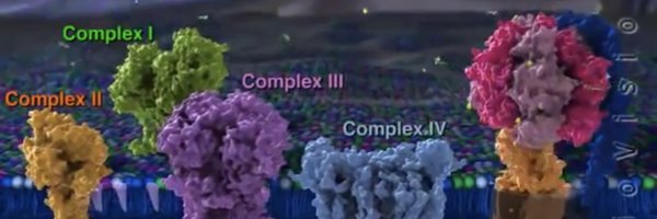 1pckt Profile Banner