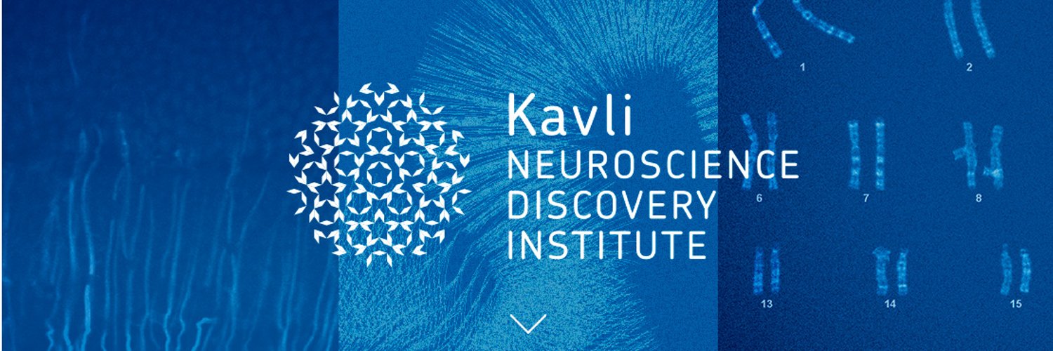 Kavli NDI Hopkins Profile Banner